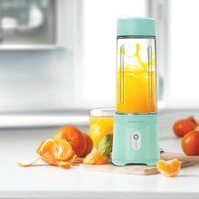 مخلوط کن پرتابل گرین لاین Green Lion Summer Mate Portable Blender مدل 46830